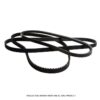 Fun-belts